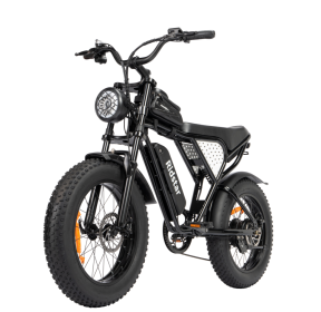 Off-road Electric Bike 1000W 20ah Black