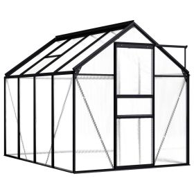 Greenhouse Anthracite Aluminum 51.1 ft²