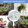 6X10FT Polycarbonate Greenhouse Raised Base and Anchor Aluminum Heavy Duty Walk-in Greenhouses for Outdoor Backyard in All Season