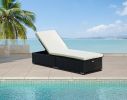 Protivin Reclining Chaise Lounge with Cushion