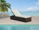 Protivin Reclining Chaise Lounge with Cushion