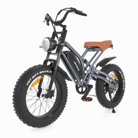 JANSNO Electric Bike 20" x 4.0 Electric Bike for Adults with 750W Brushless Motor, Long-Lasting 48V 14Ah Removable Battery, 7-Speed Transmission (Color: as Pic)